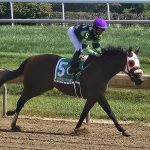 DEL: Probably Dreaming first in First State