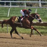 DEL: Not your imagination: Jumping the Gun stays unbeaten