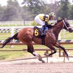 A few minutes with… Suzanne Stettinius