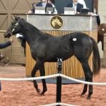 Delaware Park picks and analysis: October 1, 2025