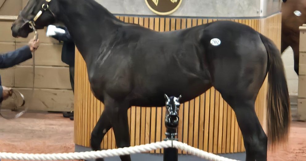 Hip 202