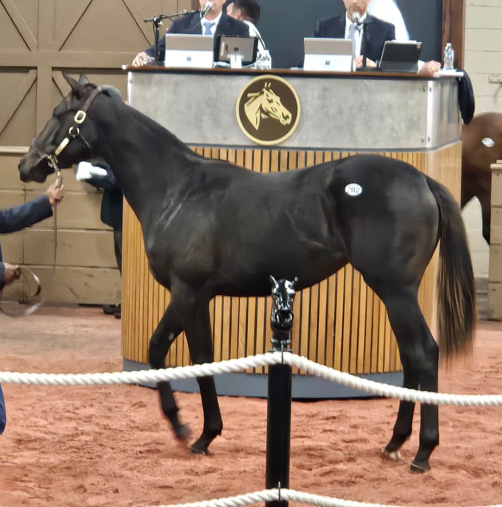 Hip 202