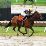 Graded-winning turfer Masen set for Wilmington test