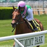 Dan Ward back for his own DelCap with Majestic Oops