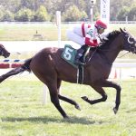 Remembering Mike Valiante