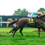 Breeders’ Cup? Ultimate Love burnishes case in Selima win