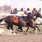 Chipotle and Prince of Jericho