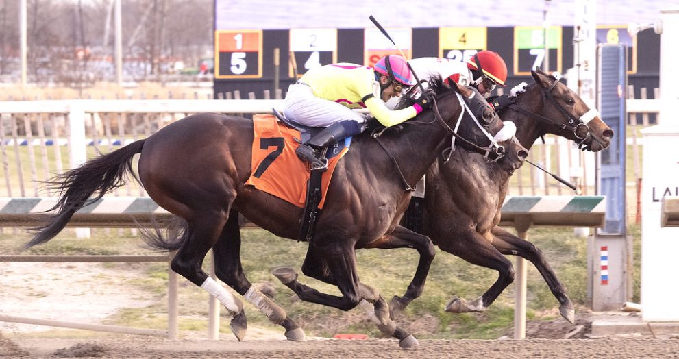 Chipotle and Prince of Jericho