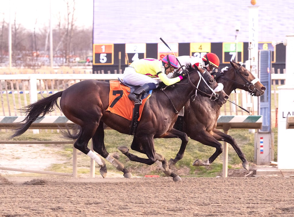 Chipotle and Prince of Jericho