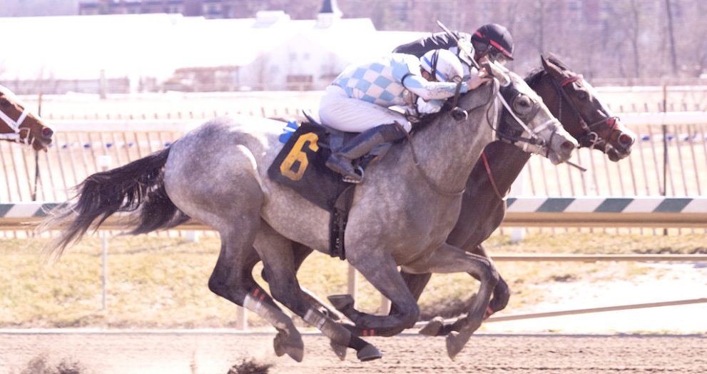 Sunset Rising Serenity Song