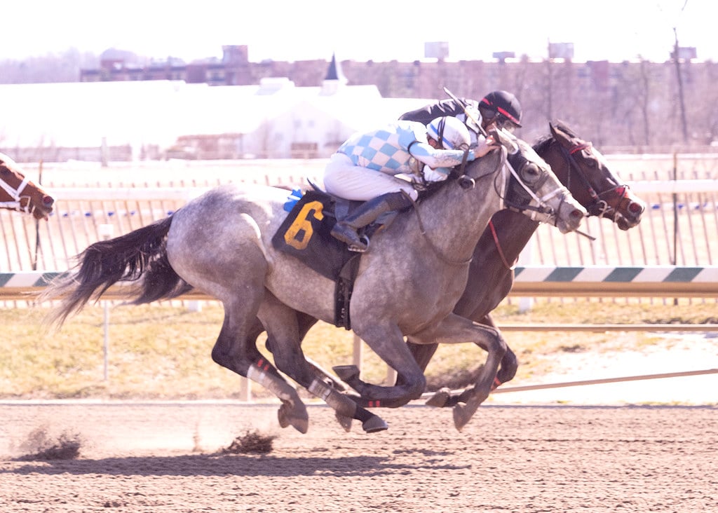 Sunset Rising Serenity Song