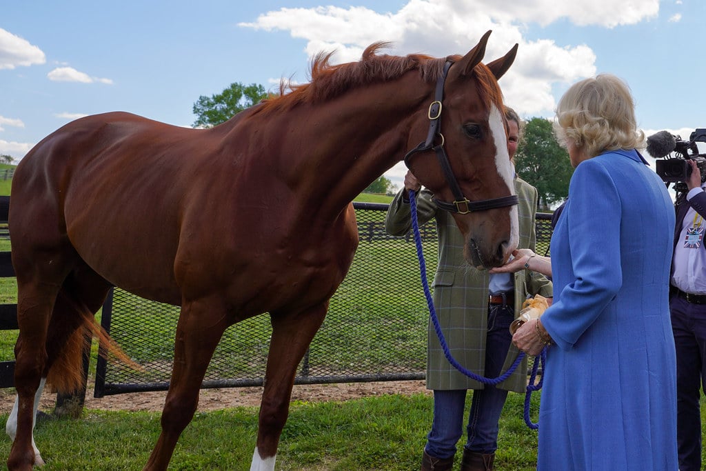 Queen Camilla and friend