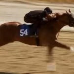 Hip 54
