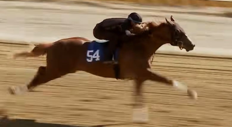 Hip 54