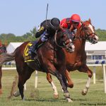 Turf Star