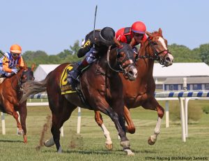 Turf Star