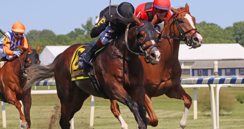 Turf Star