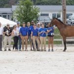 MHBA yearling show