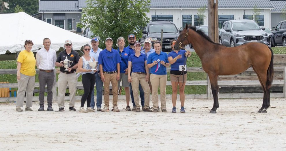 MHBA yearling show