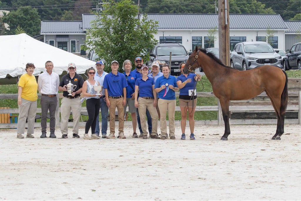 MHBA yearling show