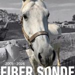 Fiber Sonde