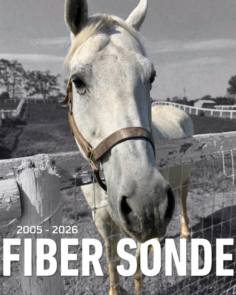 Fiber Sonde