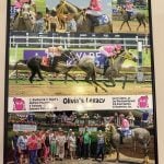 Olivia's Legacy