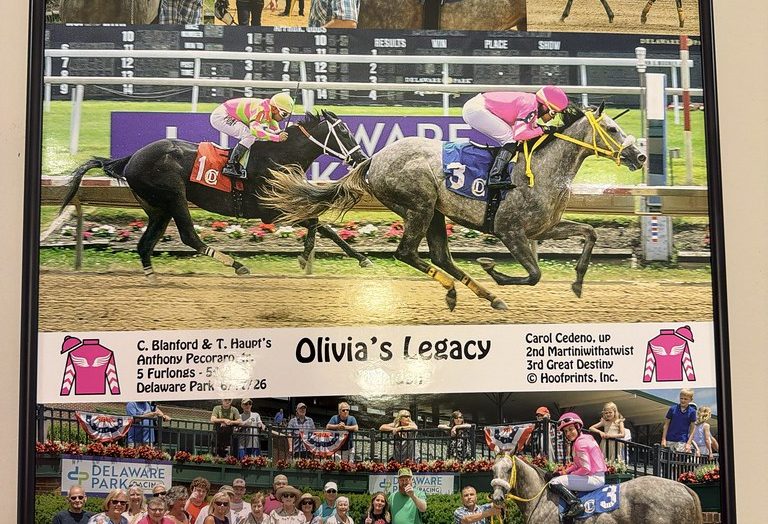 Olivia's Legacy
