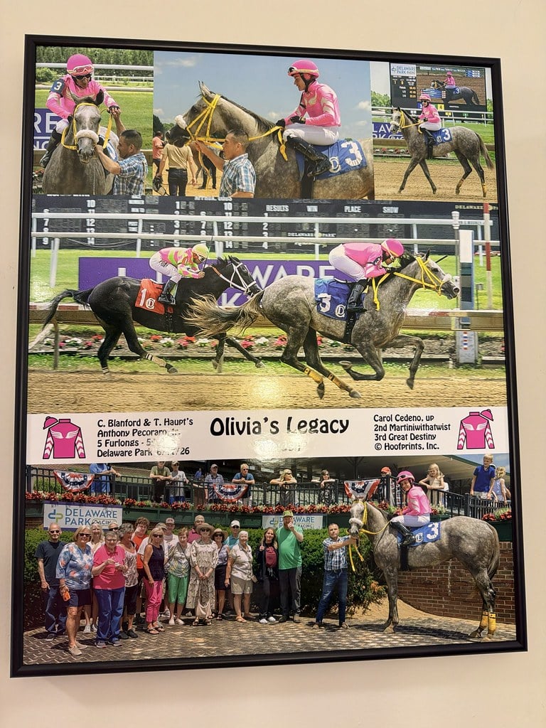 Olivia's Legacy