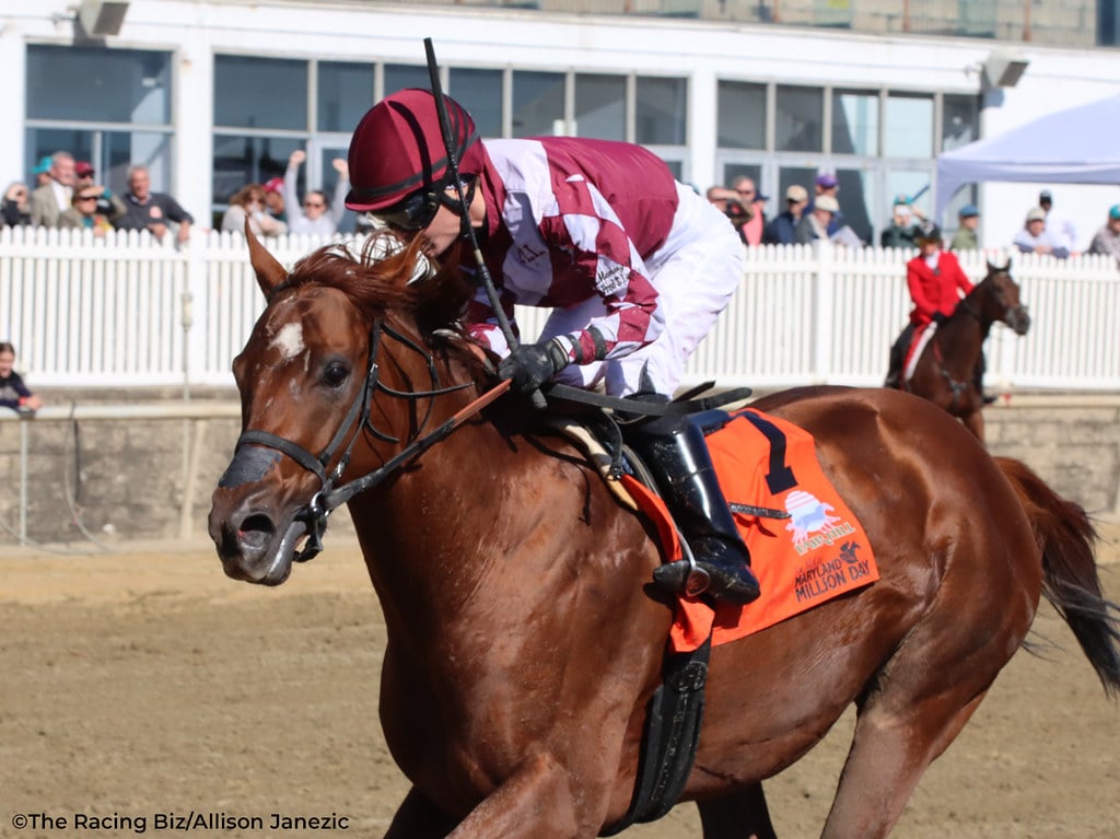 Celtic Contender