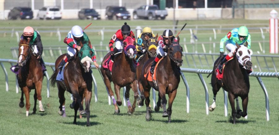 Maryland racing task force to have broad scope