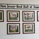 Maryland Jockey Club to support Ellicott City relief