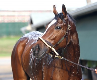 Untapable_07-26-14_04