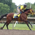 RaceBrief for July 21