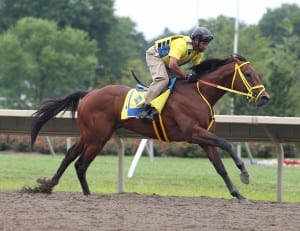 Haskell contender Wildcat Red works on Sunday morning. Photo By Bill Denver/EQUI-PHOTO.Photo By Bill Denver/EQUI-PHOTO.