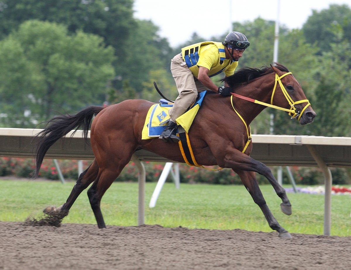 Untapable slated to arrive at Monmouth on Thursday