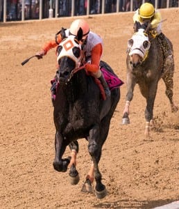 Turf or dirt makes little difference to Ben's Cat, who was much the best today. Photo by Jim McCue, Maryland Jockey Club.