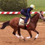 Preakness Profiles: General a Rod