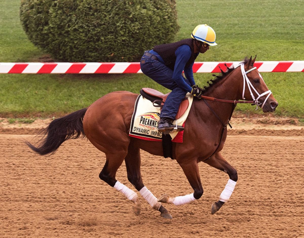 Preakness Profiles: Dynamic Impact