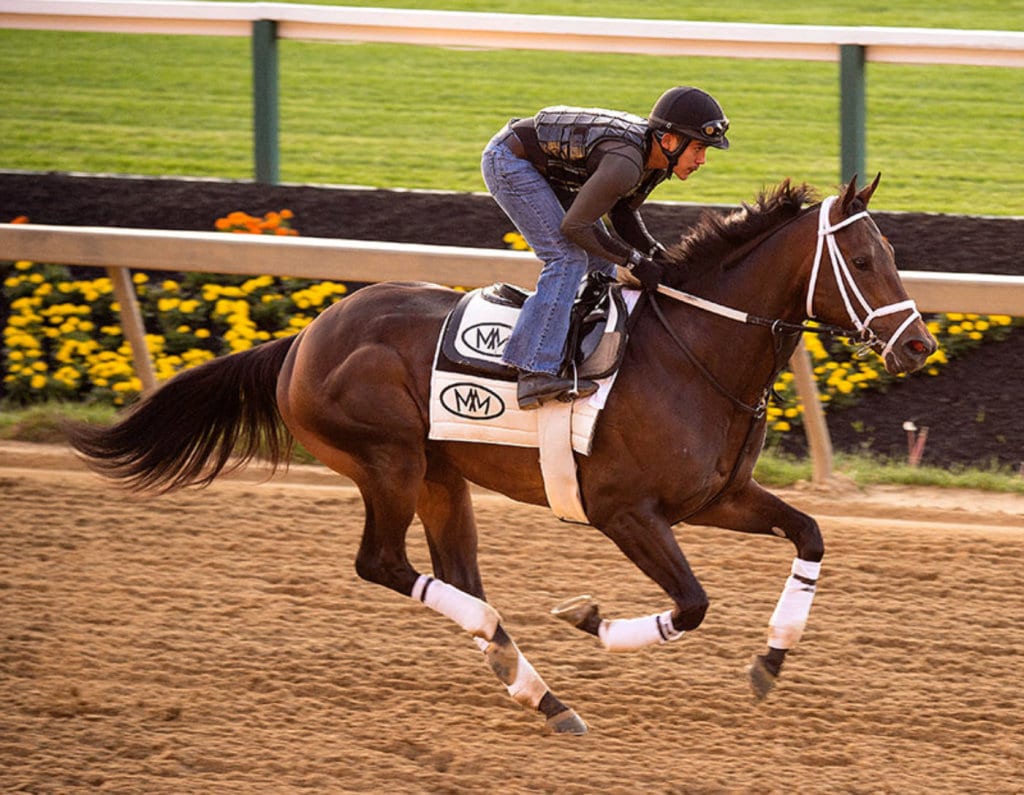 General a Rod. Photo by Jim McCue, Maryland Jockey Club.