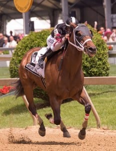 Happy My Way takes the Maryland Sprint Handicap. Photo by Jim McCue, Maryland Jockey Club.