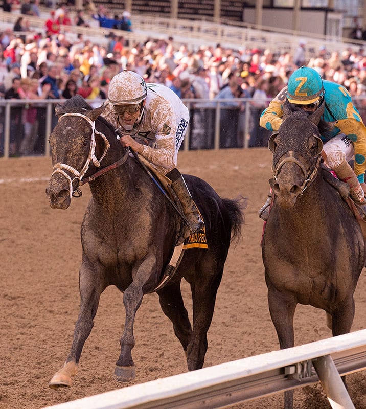 Revolutionary passes Prayer for Relief late.  Photo by Jim McCue, Maryland Jockey Club.