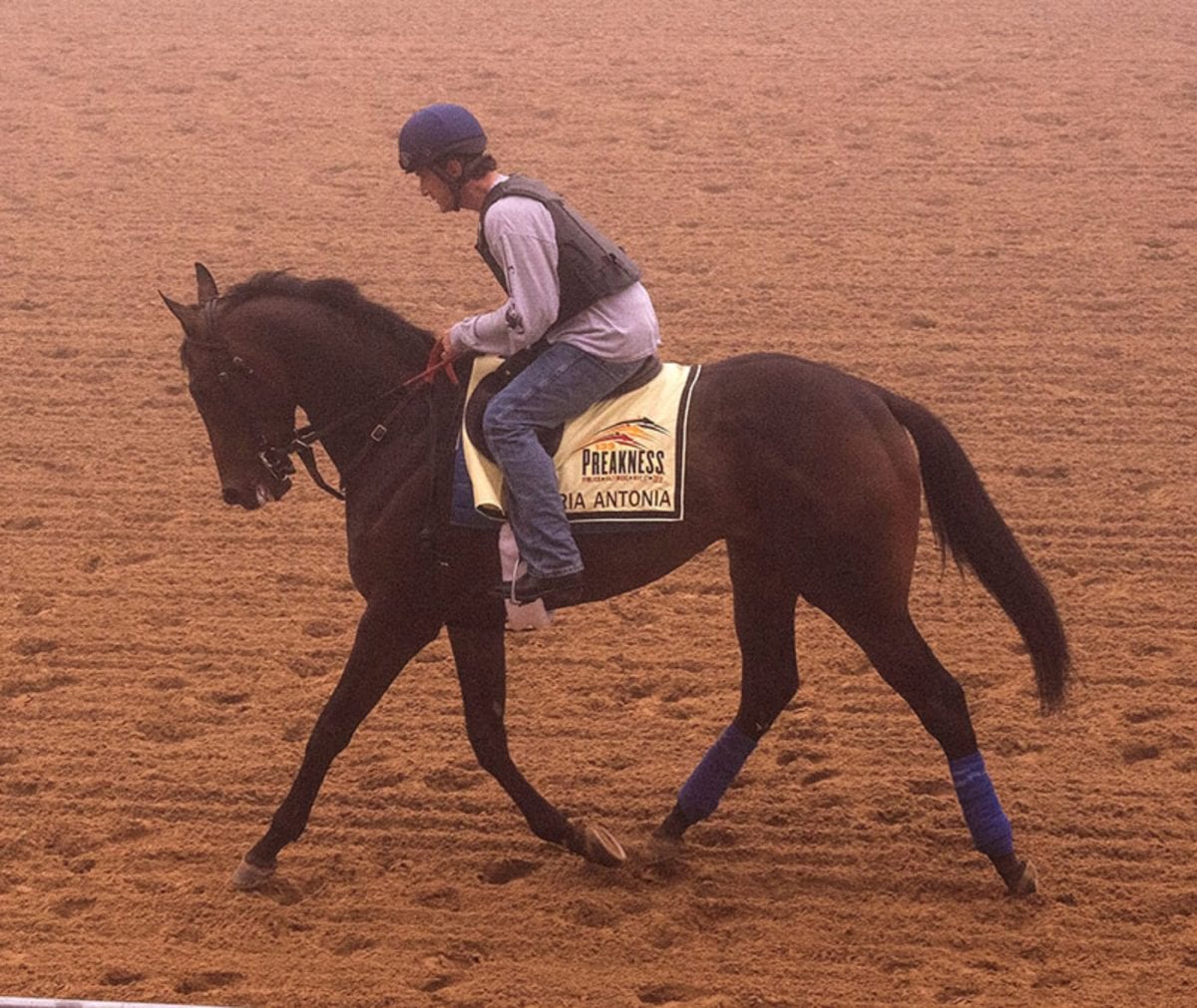 Preakness Profiles: Ria Antonia