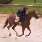 All systems go for California Chrome