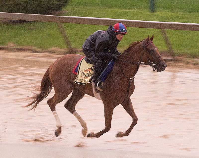 Preakness notes for May 16: Ready