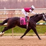 Preakness Profiles: Ring Weekend