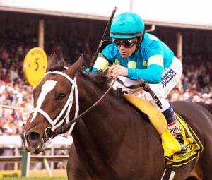 Wallyanna rolls to victory in the James Murphy Stakes Saturday at Pimlico.  Photo by Jim McCue, Maryland Jockey Club.