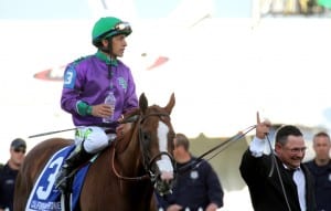 Assistant trainer Alan Sherman knows that California Chrome is number one. Photo by Laurie Asseo.