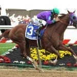 Sagamore filly earns MHBA Yearling Show honors