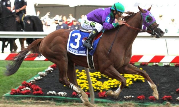 California Chrome clear choice in NTRA poll